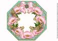 Pink Poppy Teal Lace Octagon 8inch Frame Sheet