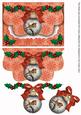 Red Robin 1 Bauble Flap Decoupage Step by Step Sheet