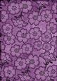 Lilac All Over Floral Blossom A4 Backing Paper