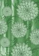 Mid Green Painted Big Floral A4 Backing Paper