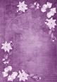Lilac White Poinsettia Corners A4 Backing Paper
