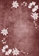 Dusky Pink White Poinsettia Corners A4 Backing Paper