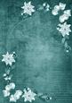 Dusky Teal White Poinsettia Corners A4 Backing Paper