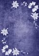 Blue White Poinsettia Corners A4 Backing Paper
