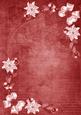 Red White Poinsettia Corners A4 Backing Paper