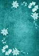 Teal White Poinsettia Corners A4 Backing Paper