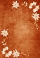 Burnt Orange White Poinsettia Corners A4 Backing Paper