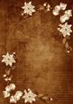 Vintage Tea White Poinsettia Corners A4 Backing Paper
