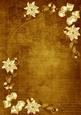 Gold White Poinsettia Corners A4 Backing Paper