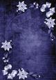 Dark Blue White Poinsettia Corners A4 Backing Paper