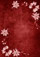 Dark Red White Poinsettia Corners A4 Backing Paper