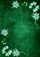 Dark Green White Poinsettia Corners A4 Backing Paper