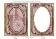 Dusky Pink Giant Blooms 7x5in Shaker Base and Frame