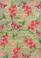 Olive Coloured Sweet Pea Stamp A4 Backing Paper