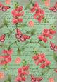 Mid Green Coloured Sweet Pea Stamp A4 Backing Paper