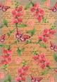 Burnt Orange Coloured Sweet Pea Stamp A4 Backing Paper
