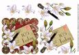 White Lily Scallop Postcard Red 105 Today Step by Step