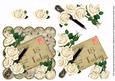 Cream Roses Scallop Postcard 18 Today Step by Step Sheet