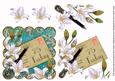 White Lily Teal Scallop Postcard 75 Today Step by Step
