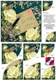Lemon Roses Petrol Get Well Soon 6in Duo Corner Stacker