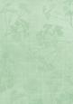 Mint Green Embossed Dainty Gypso A4 Backing Paper