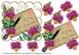 Cerise Pansy a Day to Remember Ink Saver 6in Step by Step