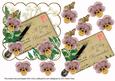 Dusky Pink Pansy Day to Remember Ink Saver 6in Step by Step