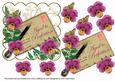 Cerise Pansy Aged to Perfection Ink Saver 6in Step by Step