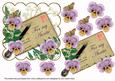Lilac Pansy for My Auntie Ink Saver 6in Step by Step