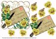 Blue Pansy Ink Saver Invitation Accepted 6in Step by Step