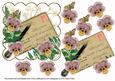 Dusky Pink Pansy Ink Saver Life is Just - 6in Step by Step