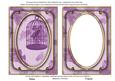 Lilac Birdcage Paint 7x5in Shaker Base and Frame