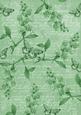 Mid Green Vintage Sweet Peas A4 Backing Paper