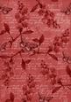 Dark Red Vintage Sweet Peas A4 Backing Paper