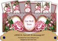 Cerise Rose Get Well Soon Large Dl Decoupage Card Kit