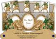 Coffee Rose Get Well Soon Large Dl Decoupage Card Kit