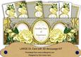 Lemon Rose Year of Experience Large Dl Decoupage Card Kit