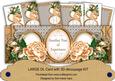 Peach Rose Year of Experience Large Dl Decoupage Card Kit