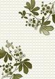Olive Floral Corner Check A4 Backing Paper