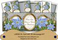Pale Blue Poinsettia Our House to Yours Large Dl Card Kit