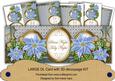 Pale Blue Poinsettia Silent Night Large Dl Card Kit