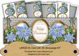 Pale Blue Poinsettia Happy Christmas Large Dl Card Kit