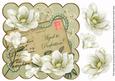 Olive Magnolia Aged to Perfection 8in Decoupage Topper