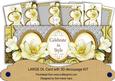 Lemon Magnolia Celebrate in Style Dl Decoupage Card Kit