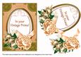 Peach Rose Vintage Prime 7x5in Oval Step by Step