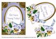 Pale Blue Pansy 60 Years Young Oval 7x5in Step by Step