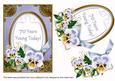 Pale Blue Pansy 70 Years Young Oval 7x5in Step by Step