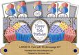 Blue Cupcakes 15th Birthday Large Dl Card Kit