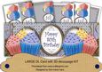 Blue Cupcakes 80th Birthday Large Dl Card Kit