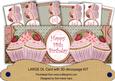 Pink Strawberry Cupcake 14th Birthday Large Dl Card Kit